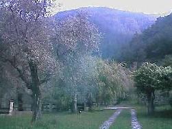 photo 04